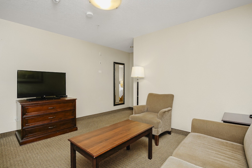 Suite, 1 King Bed, Microwave - Photo 7