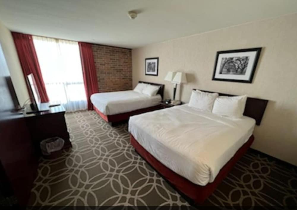 Suite photo 2