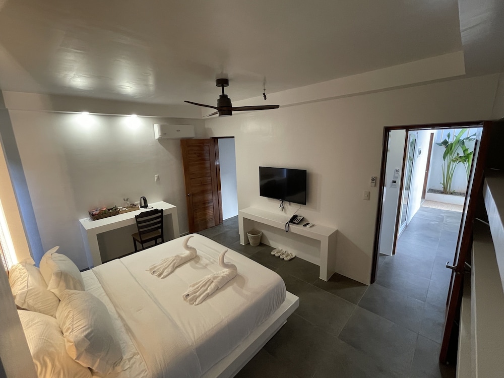 Suite - Photo 7