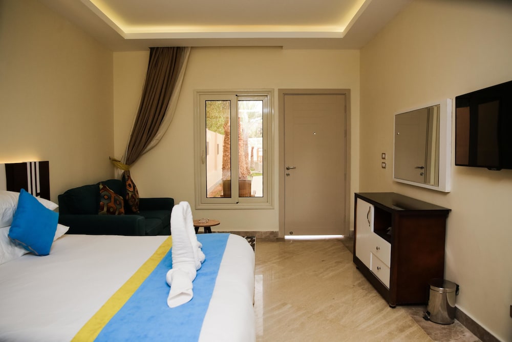 Luxury Studio