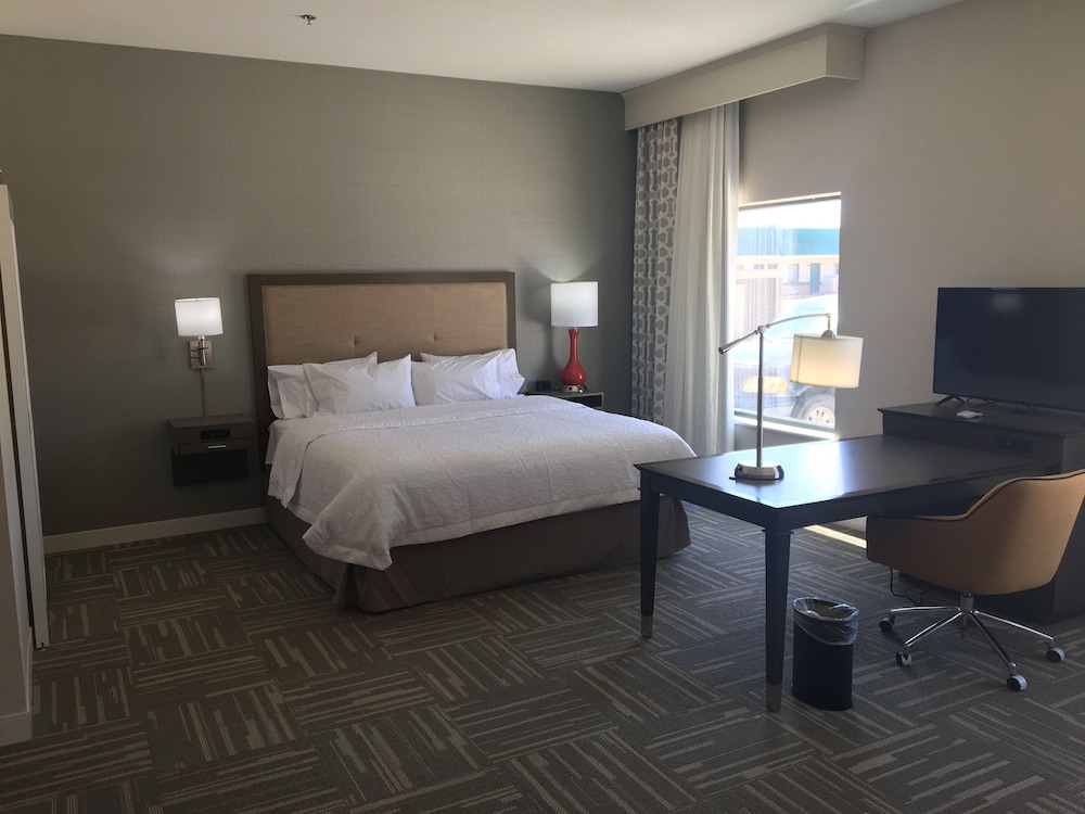 Suite, 1 King Bed, Non Smoking photo 1