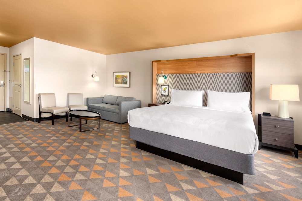 Premium Room, 1 King Bed with Sofa bed, Jetted Tub - Photo 1