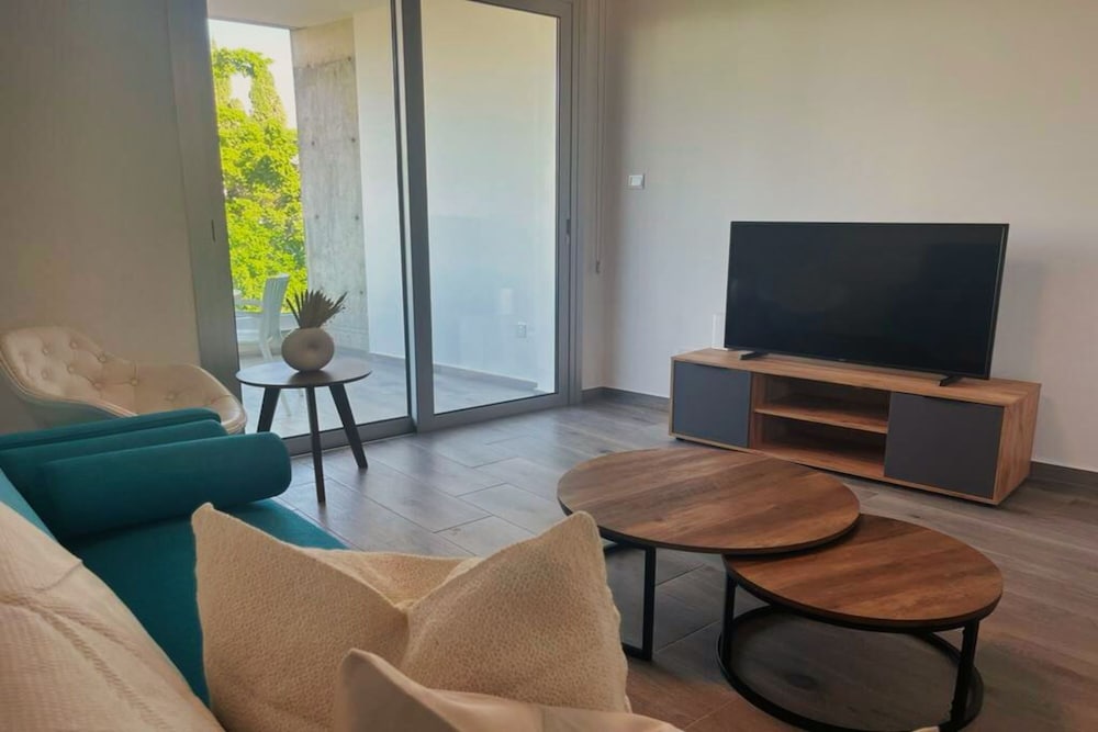 Luxury Apartment