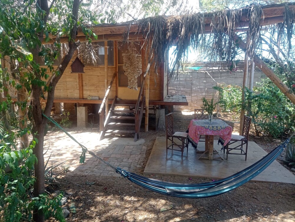 Basic Cabin photo 1
