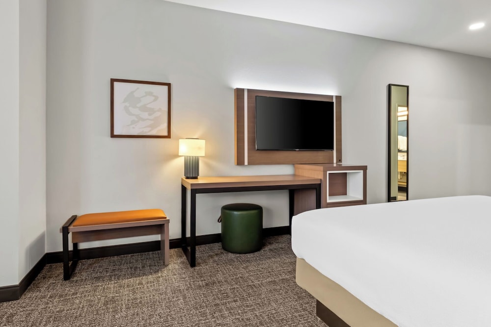 Room, 1 King Bed, Accessible (Mobility & Hearing, Roll-in Shower) - Photo 3