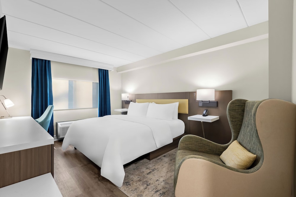 Suite, 1 King Bed - Photo 2