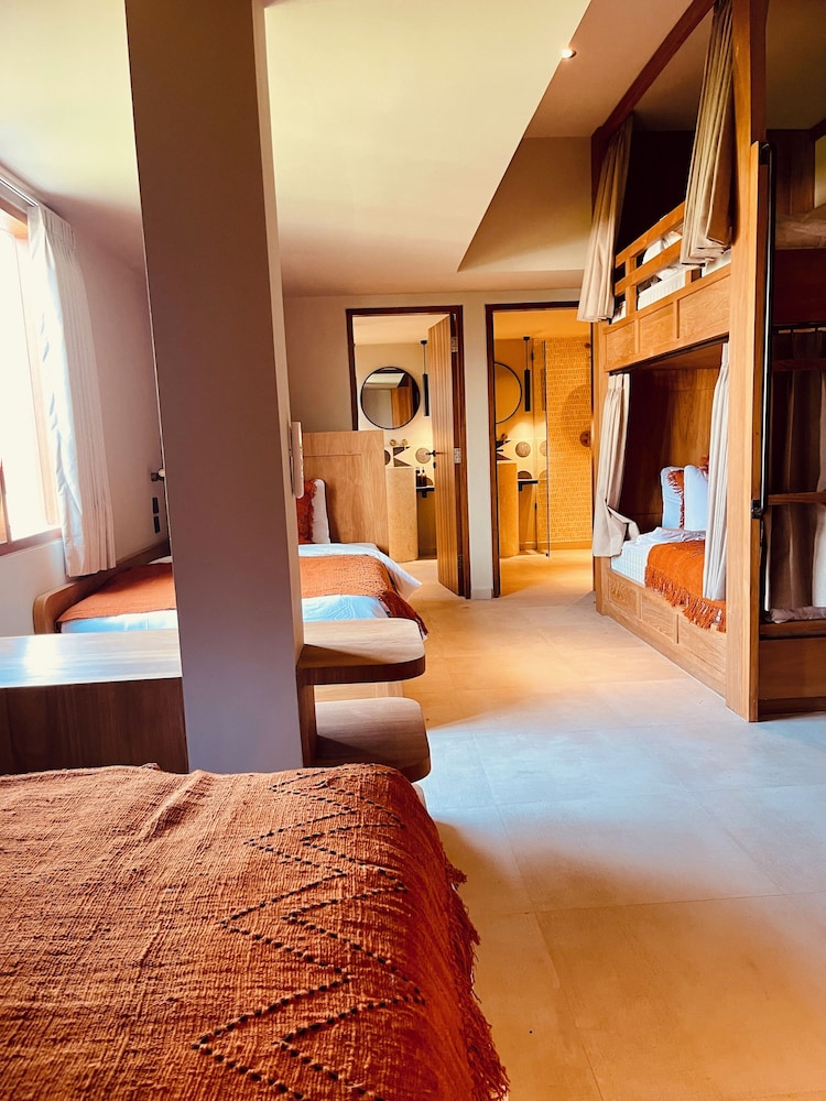 Deluxe Shared Dormitory photo 3