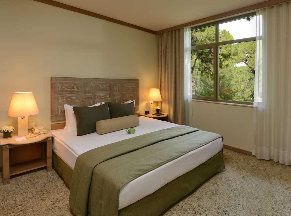 Suite, 1 Bedroom photo 1