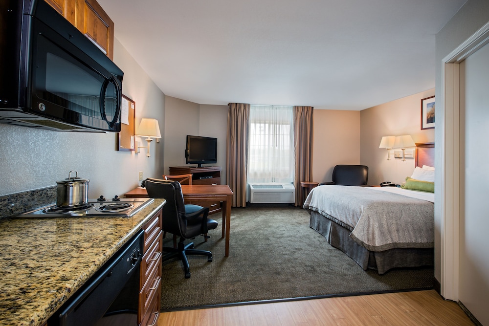 Studio Suite - Photo 1