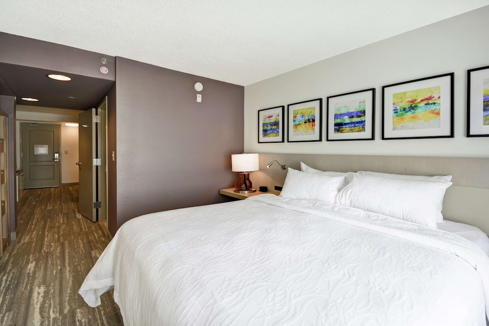 One king evolution jr suite