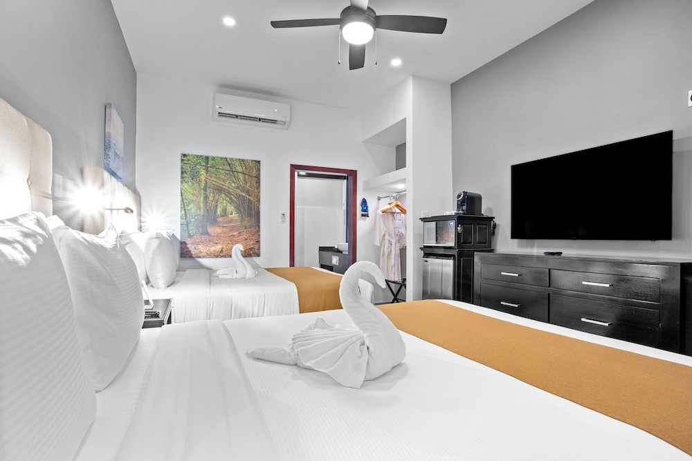 Premium Room, 2 Queen Beds, Non Smoking, Refrigerator & Microwave - Photo 10