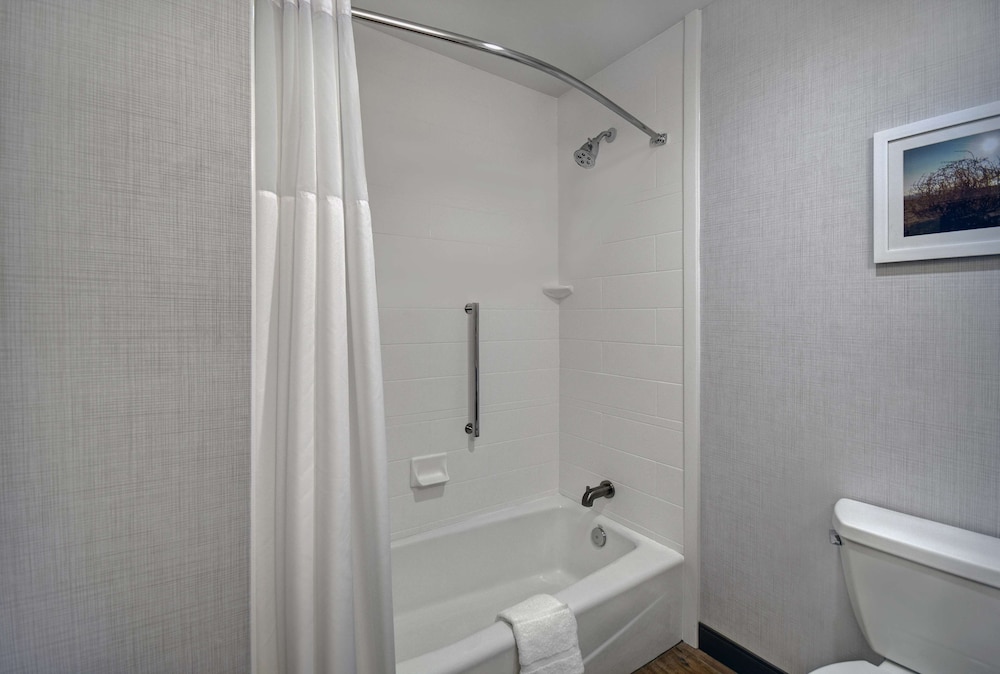 Room, 1 King Bed With Sofa Bed, Accessible, Bathtub (Refrigerator) - Photo 3