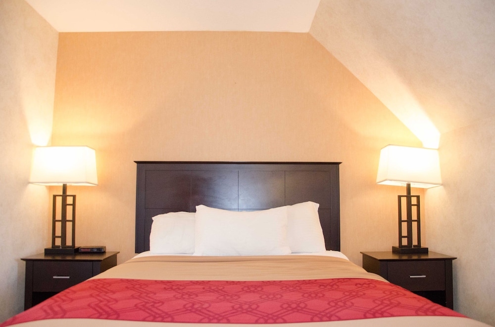 Single Room, 1 Queen Bed photo 1