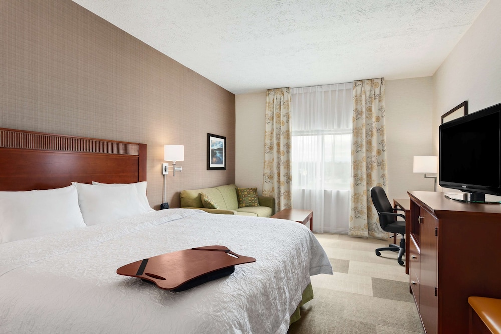 Executive Room, 1 King Bed with Sofa bed - Photo 3