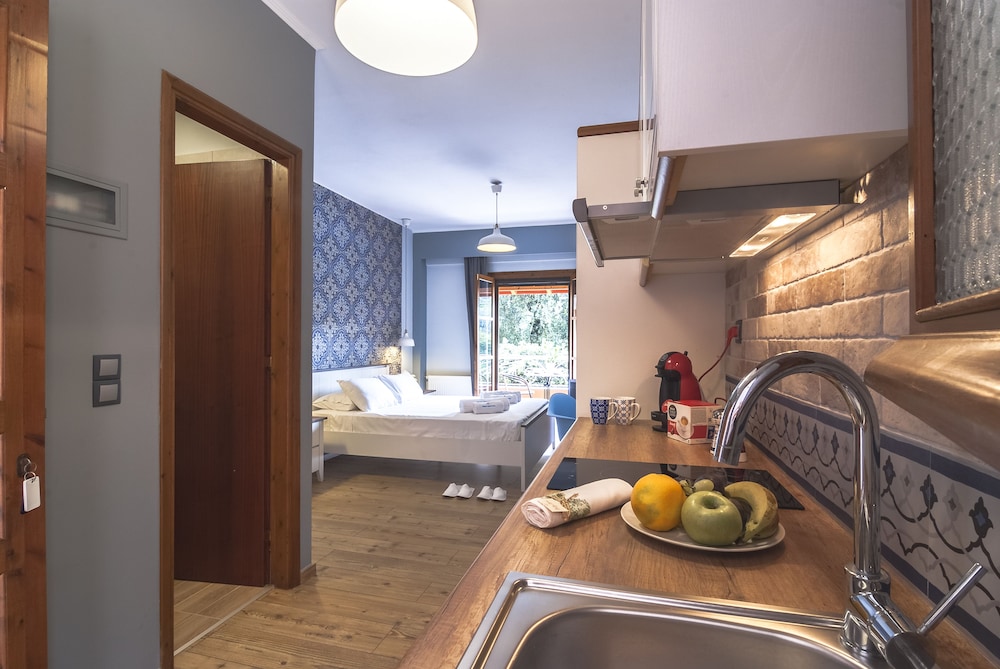 Grand Apartment, 1 Bedroom photo 3