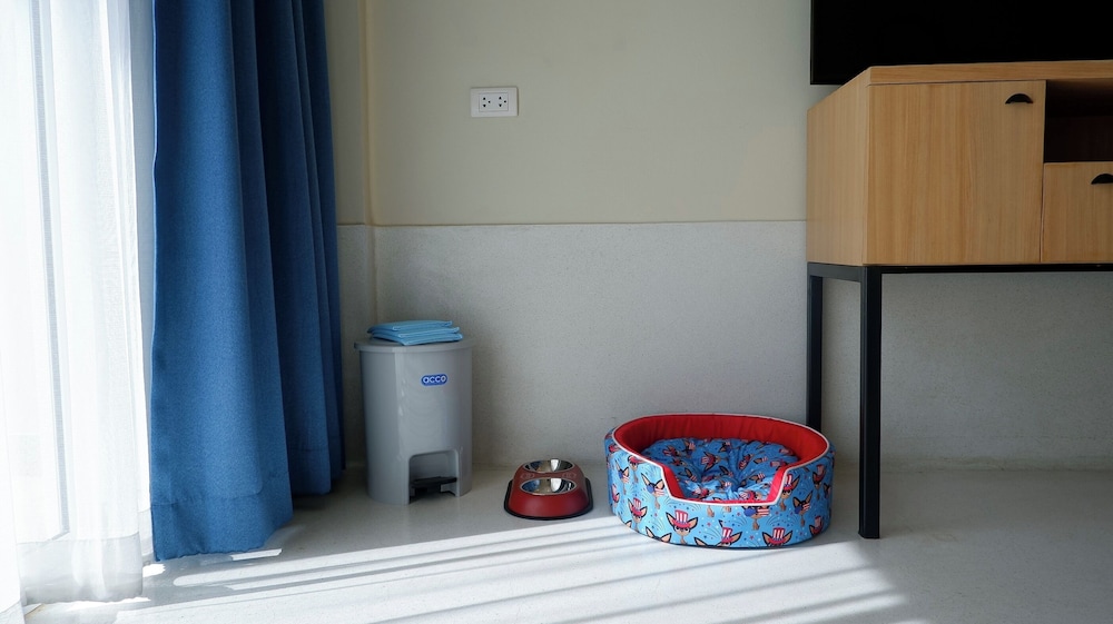 Kaset Paws Pet Friendly - Photo 4