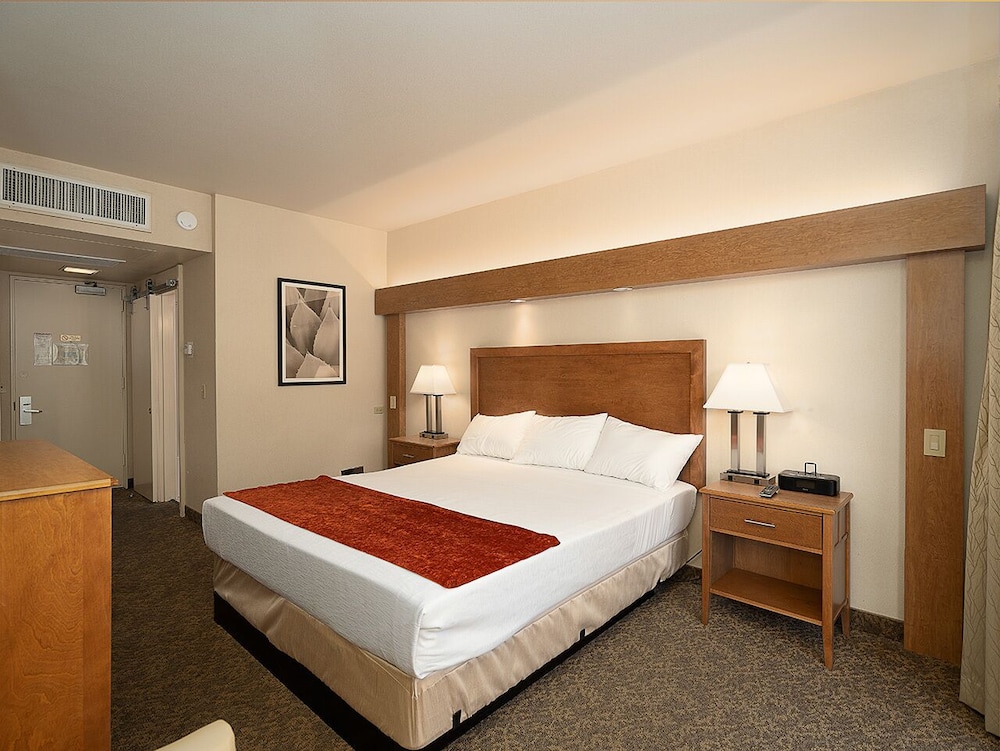 Single Room, 1 King Bed photo 1