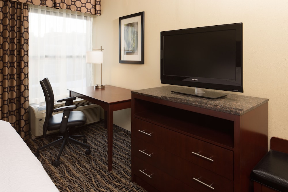 Suite, 1 King Bed - Photo 3