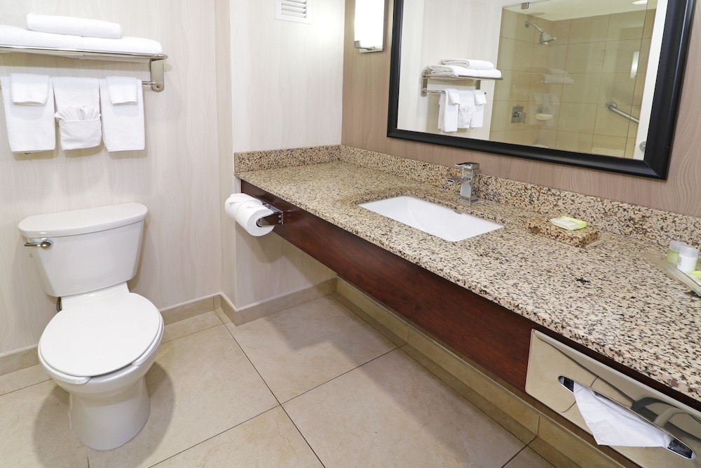 Standard Room, 1 King Bed, Accessible photo 2