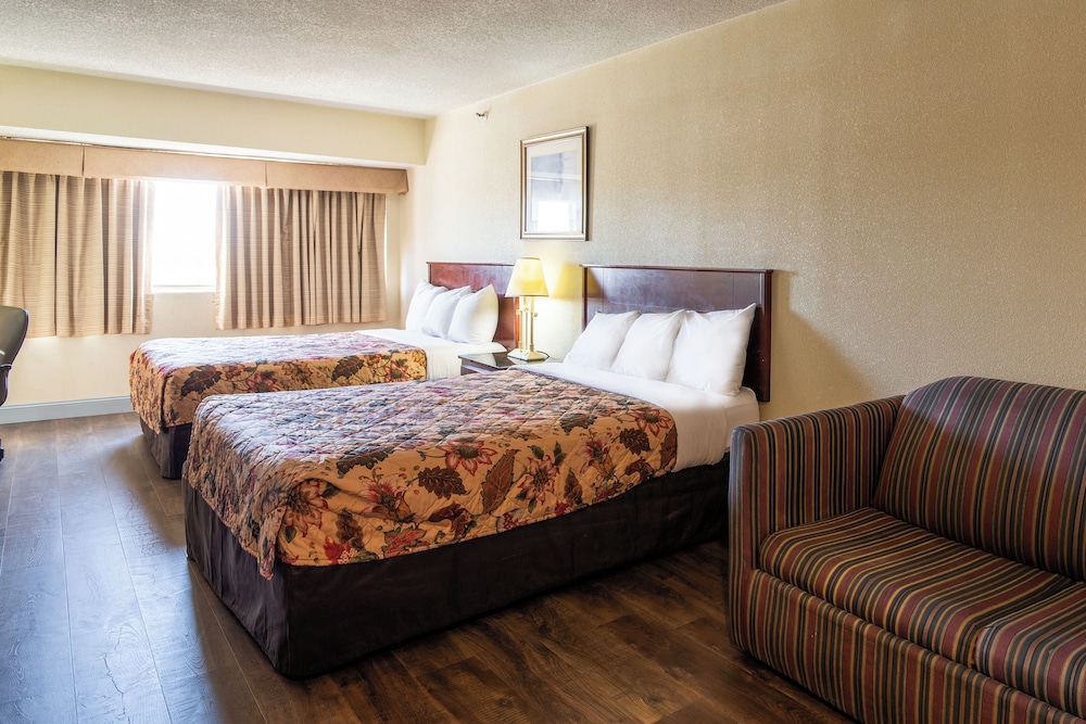 Deluxe Double Room - Photo 5