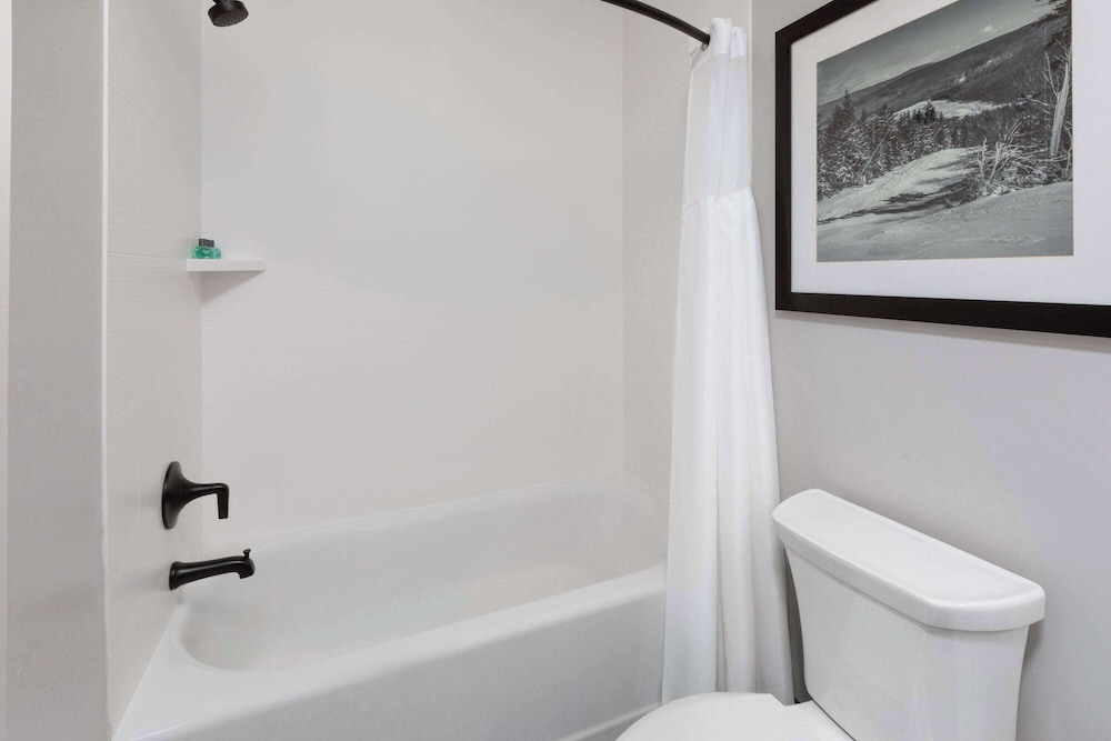 Suite, 1 King Bed with Sofa bed, Non Smoking (Lodge) - Photo 6