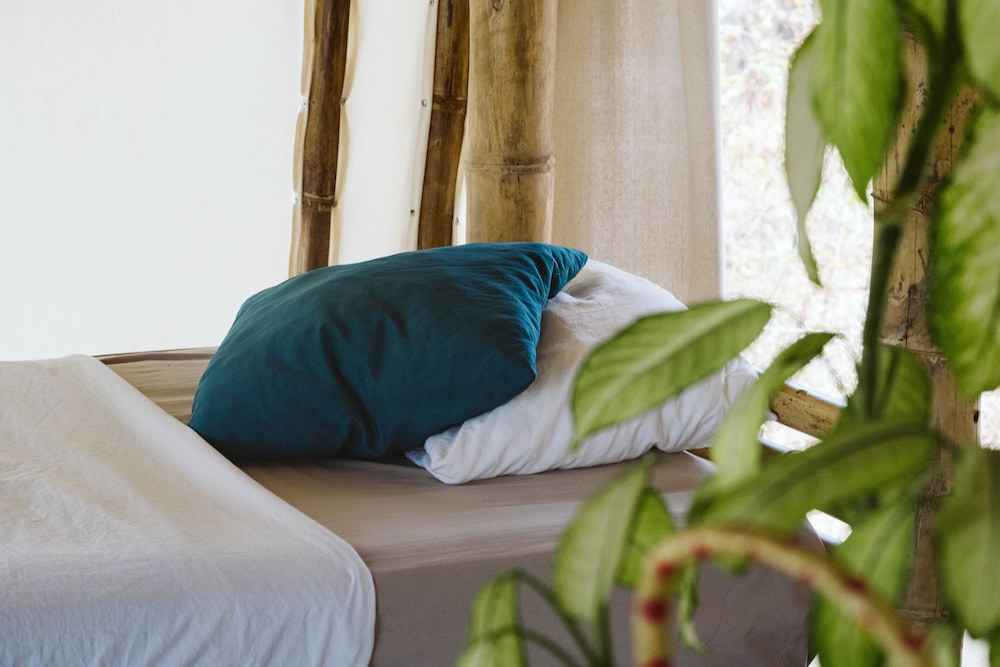 Design Shared Dormitory, Mixed Dorm, Garden View photo 3