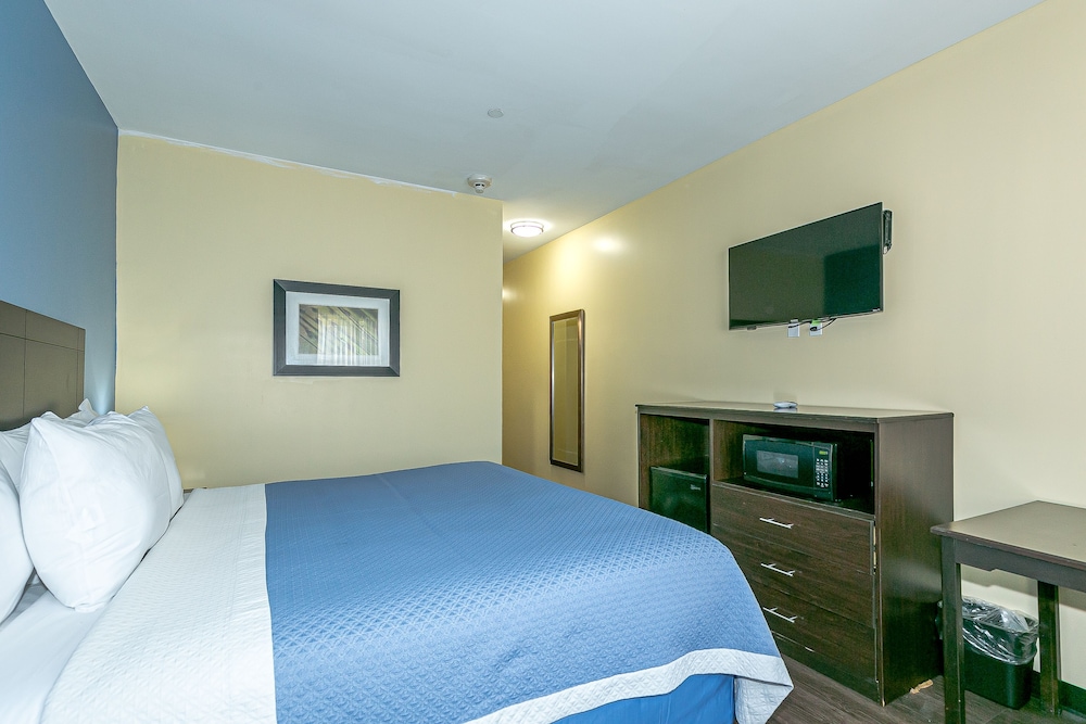 Standard Single Room, 1 King Bed photo 2