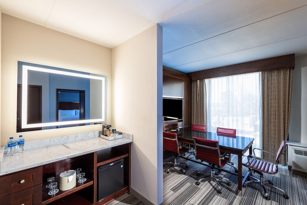 Suite, 1 King Bed - Photo 4