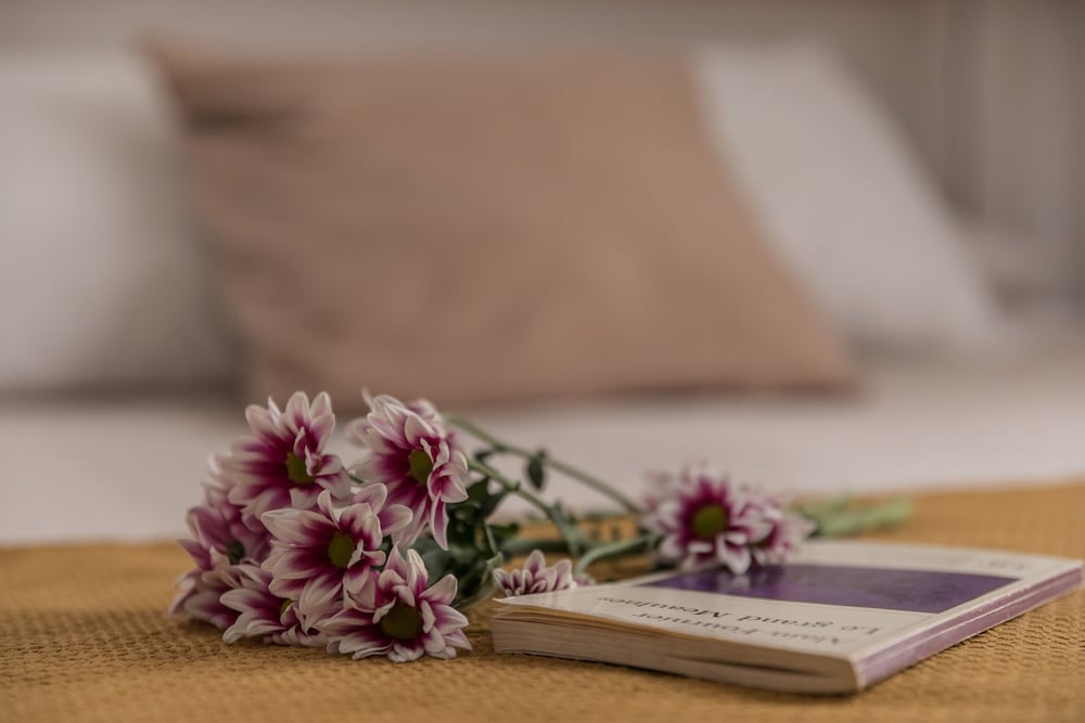 Habitación Doble Estándar, Planta Baja