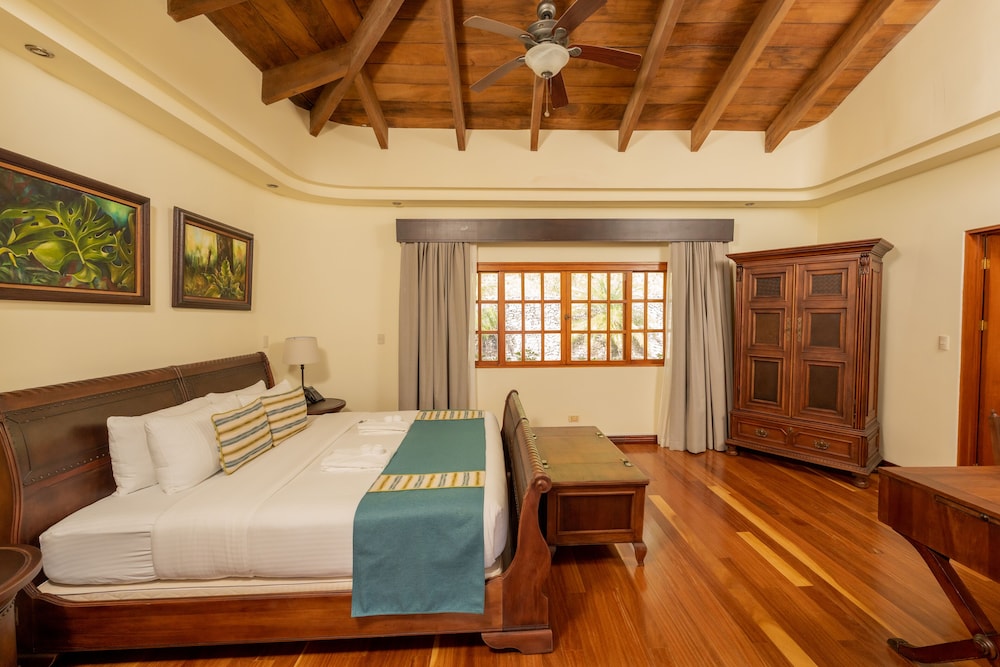Junior Suite, 1 King Bed, Terrace, Mountain View photo 3