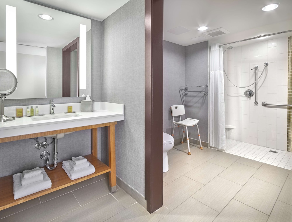 Room, 1 King Bed, Accessible (Roll-In Shower)