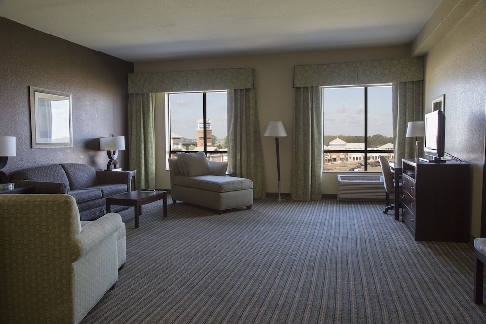 Suite, 1 Bedroom - Photo 4