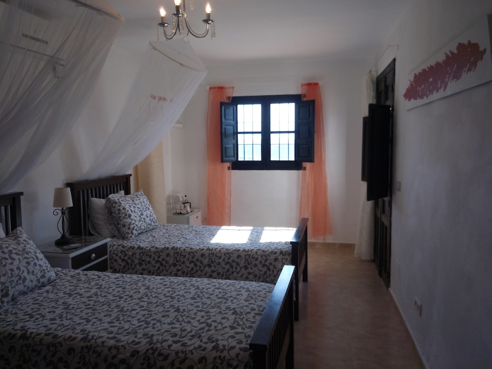 Traditional Twin Room, Mountain View photo 2