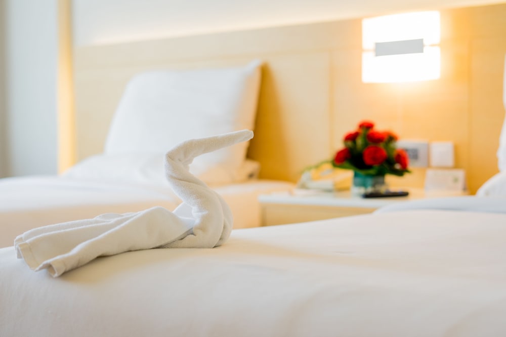 Standard one twin or two single beds, City View Tower photo 3