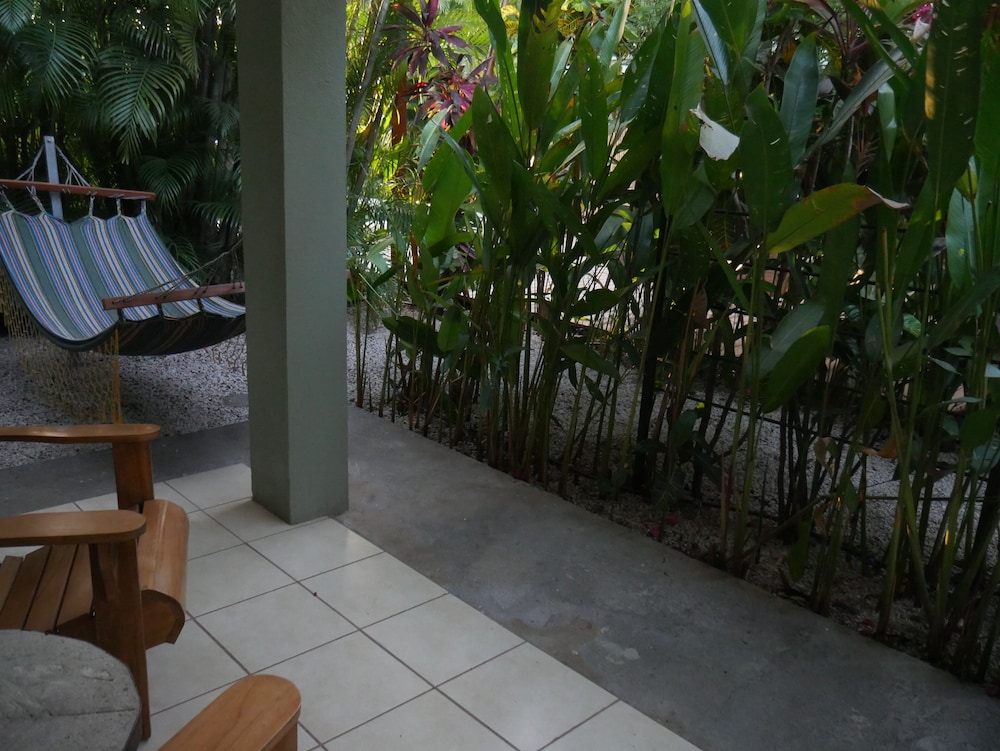 Premium Villa photo 2