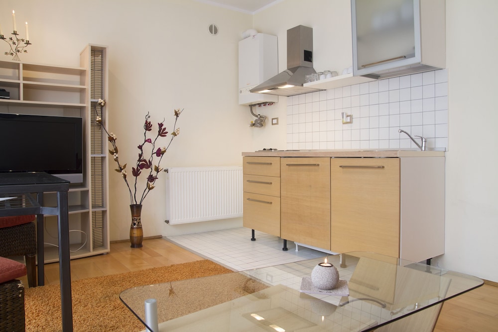 Apartment, 1 Bedroom, Kitchen - Photo 19