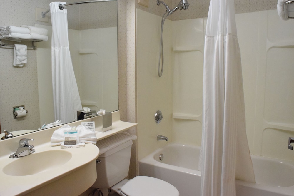 Basic Room, 1 Queen Bed photo 3