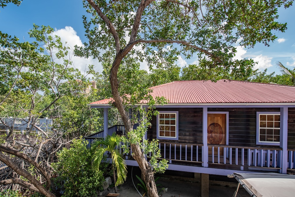 TARPON HOUSE: 1 Bedroom, Resort View, Garden Area photo 2