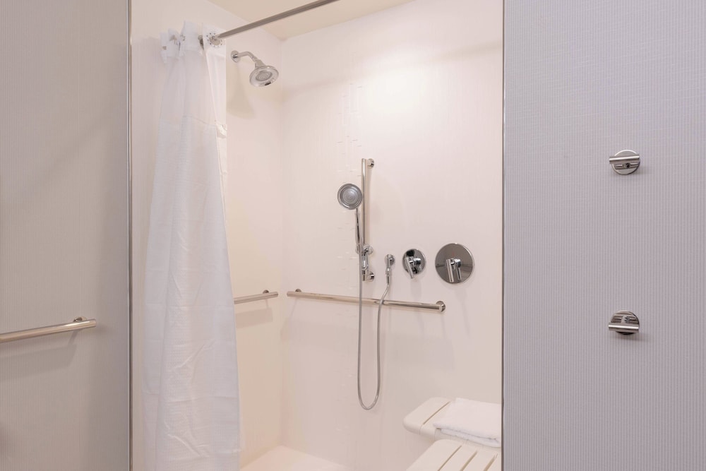 Studio, 1 King Bed with Sofa bed (Mobility Accessible, Roll-in Shower)