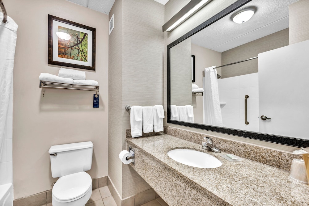 Room, 1 King Bed (Mobility/Hearing Accessible, Tub) - Photo 7