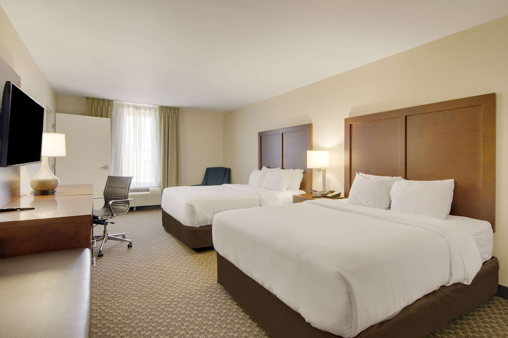 Suite, Multiple Beds, Non Smoking photo 3