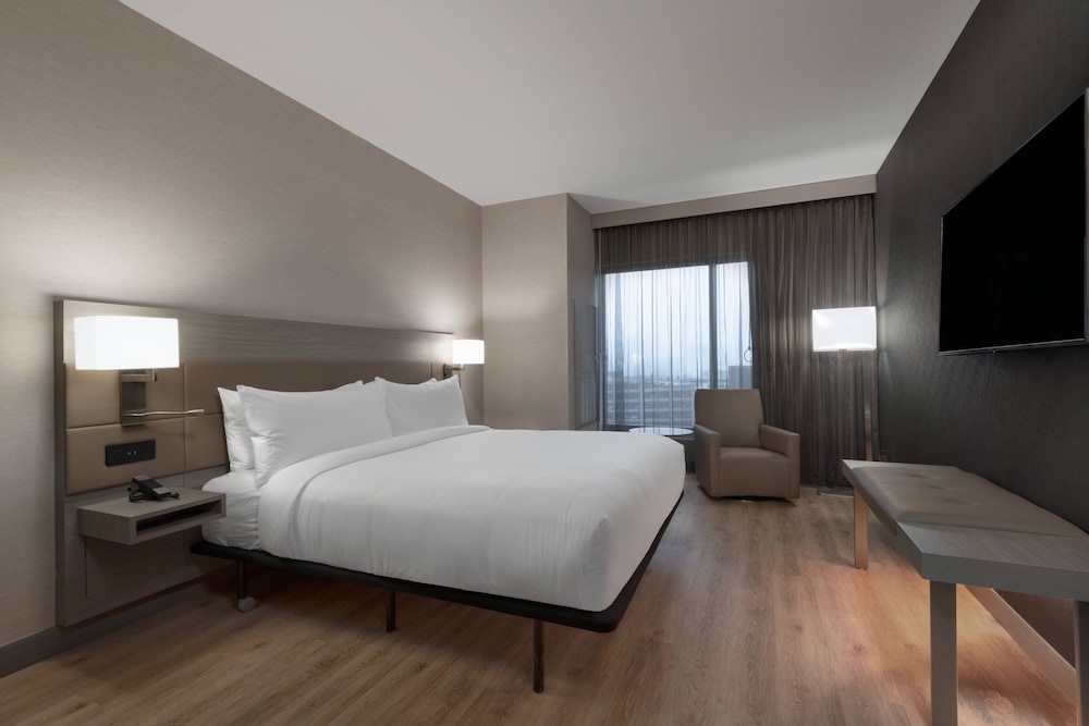 Room, 1 King Bed with Sofa bed (Mobility Accessible, Roll-In Shower) - Photo 3