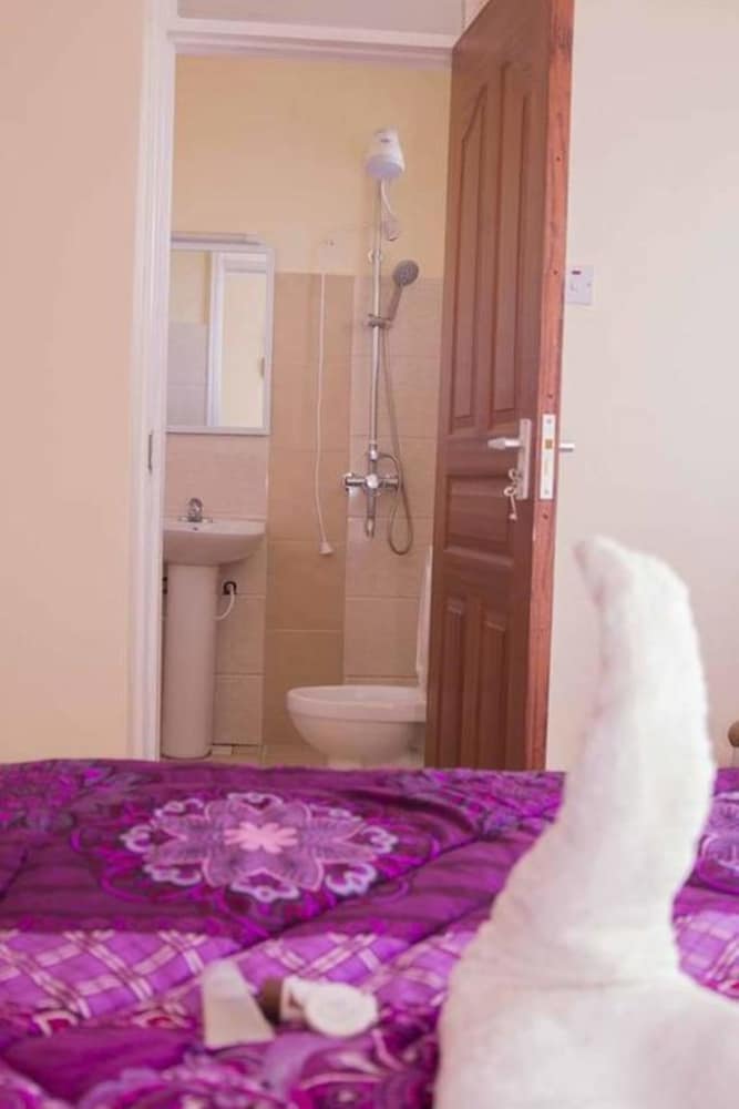 Superior Double or Twin Room photo 3