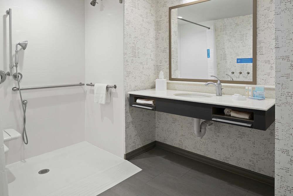 Suite, 1 King Bed, Accessible (Roll-In Shower)