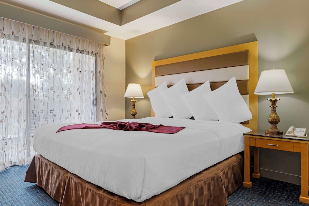 Suite, 1 King Bed, Accessible, Non Smoking (with Sofabed) - Photo 1