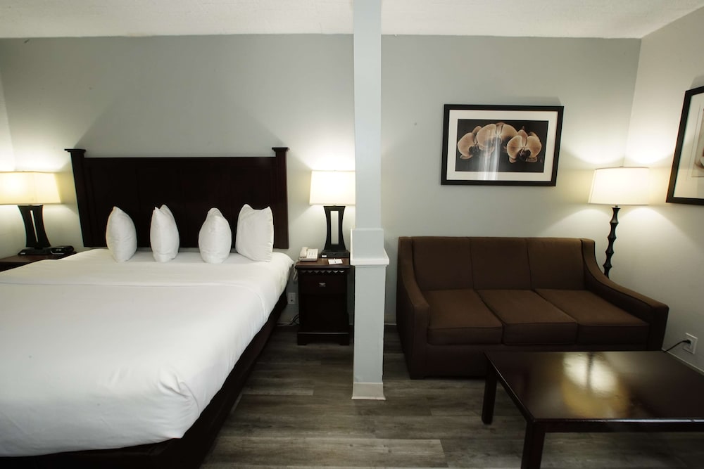 Suite, 1 King Bed, Non Smoking, Refrigerator & Microwave (Larger Room;with Sofabed) - Photo 9