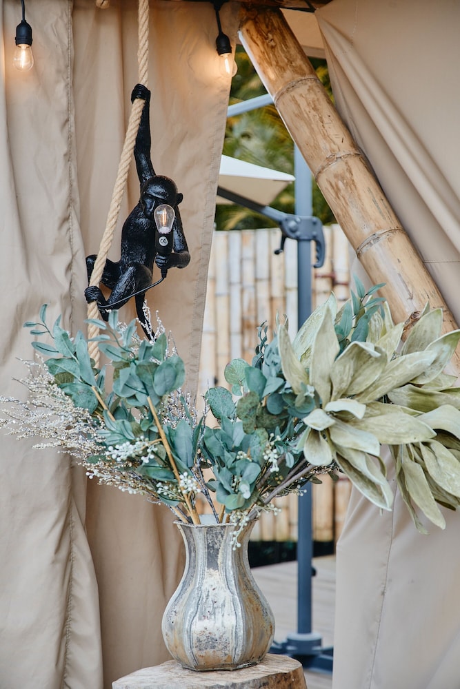 Safari Lux 1 - Photo 19