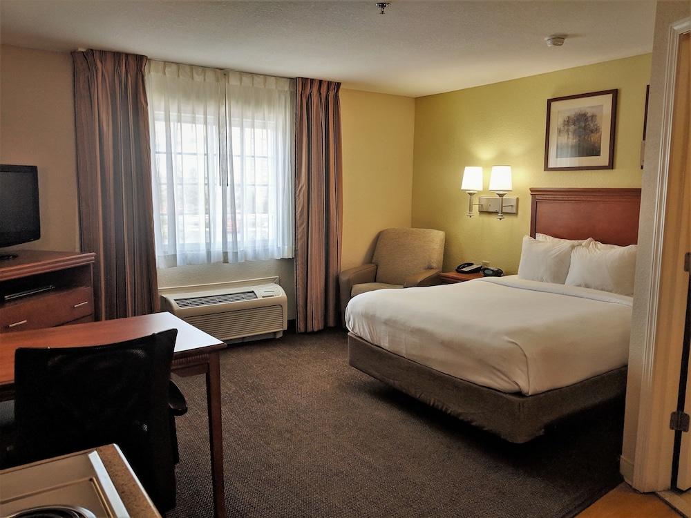 Studio Suite, 1 Queen Bed - Photo 6