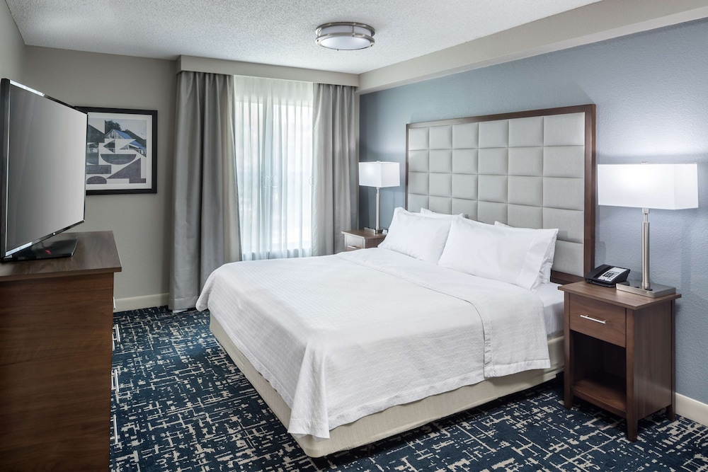 Suite, 1 King Bed, Accessible, Bathtub (Mobility & Hearing) - Photo 1