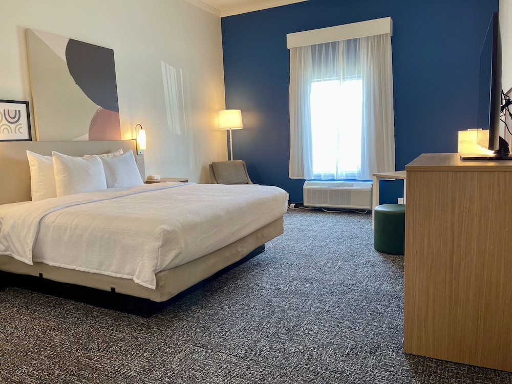 Room, 1 King Bed, Accessible (Mobility & Hearing, Roll-in Shower) - Photo 9